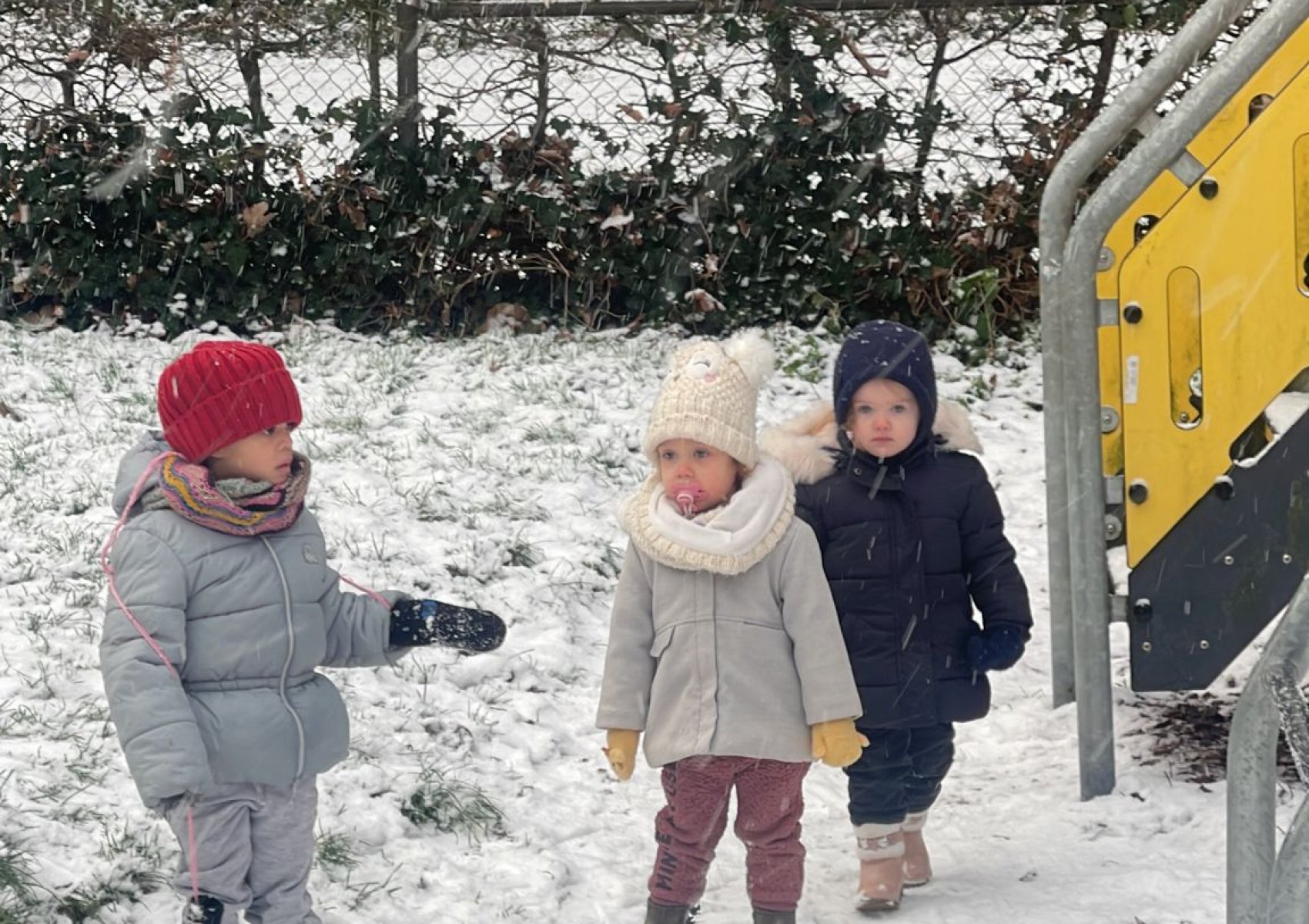 whatsapp image 2026-01-16 at 22.46.50 3